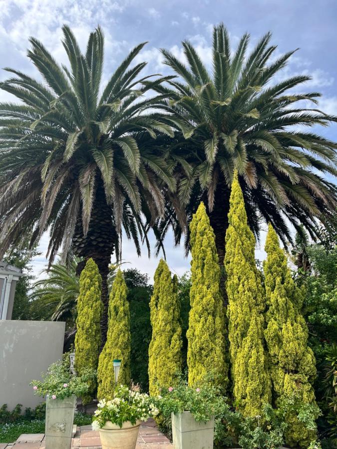 Somerset West Garden Apartments 1 외부 사진