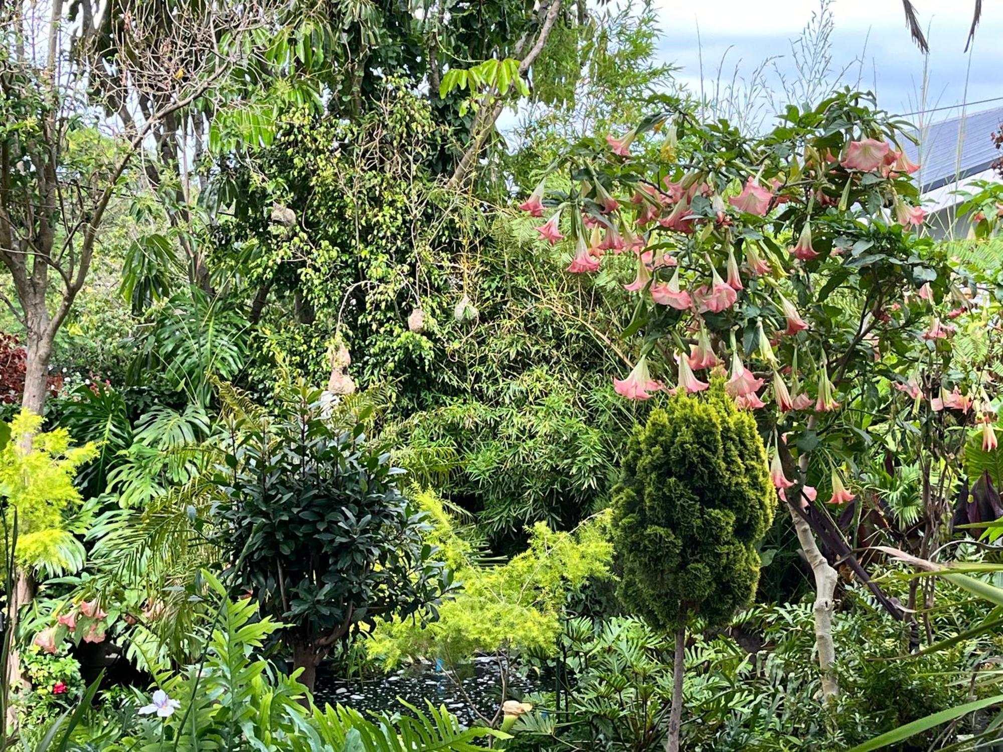 Somerset West Garden Apartments 1 외부 사진
