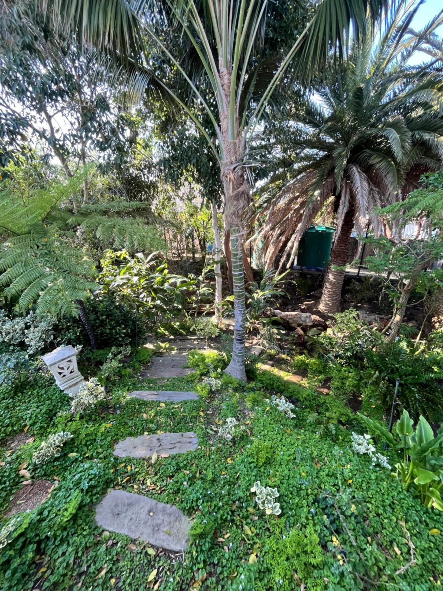 Somerset West Garden Apartments 1 외부 사진