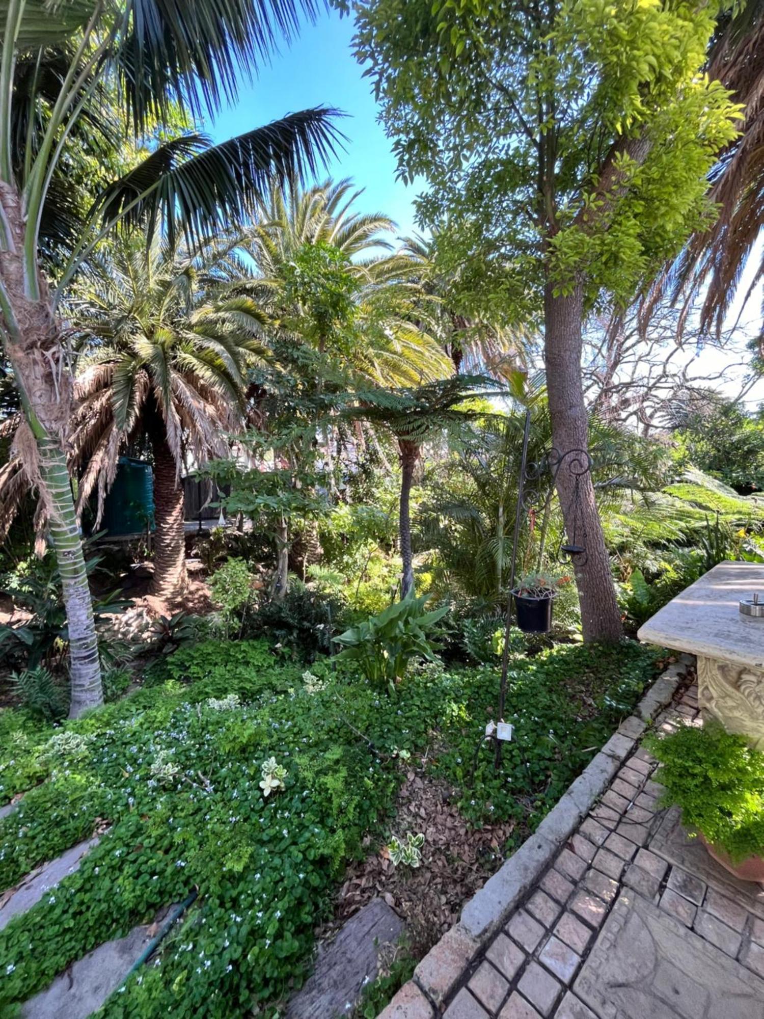 Somerset West Garden Apartments 1 외부 사진